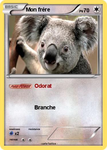 Pokemon Mon frère