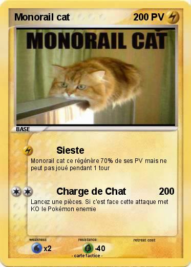 Pokemon Monorail cat
