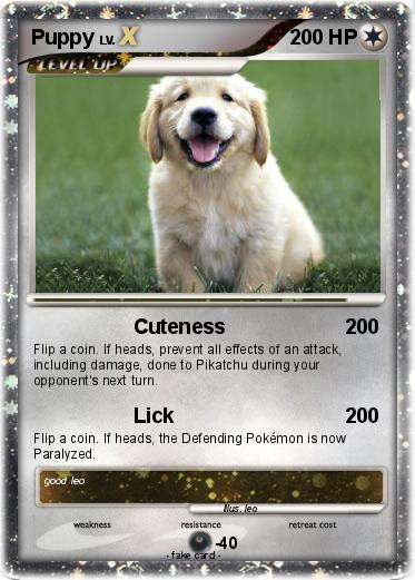 Pokemon Puppy