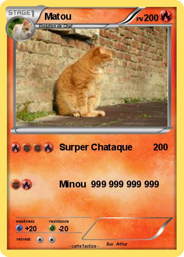 Pokemon Matou