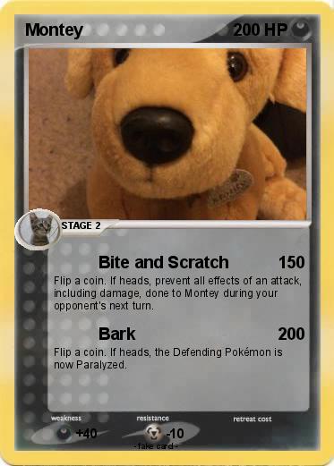 Pokemon Montey