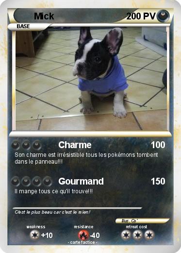 Pokemon Mick