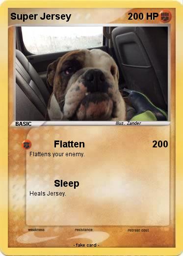 Pokemon Super Jersey