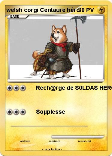 Pokemon welsh corgi Centaure héro