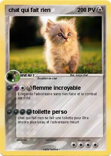 Pokemon chat qui fait rien