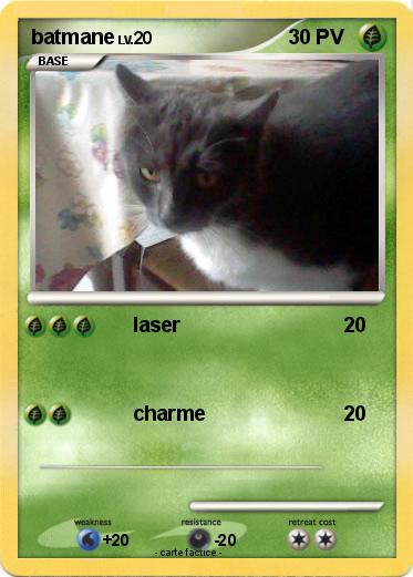 Pokemon batmane