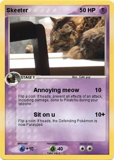 Pokemon Skeeter
