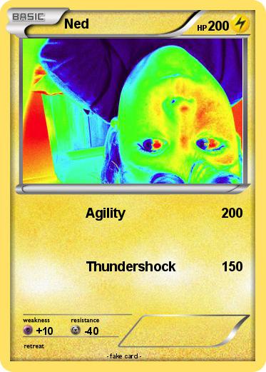 Pokemon Ned