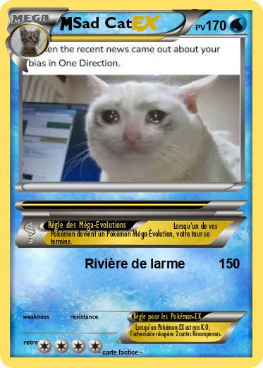 Pokemon Sad Cat