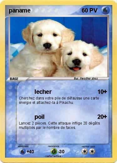 Pokemon paname