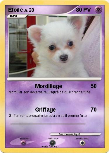 Pokemon Etoile