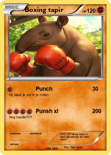 Pokemon Boxing tapir