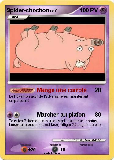 Pokemon Spider-chochon