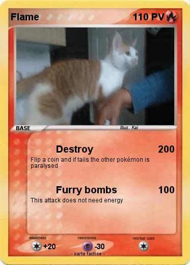 Pokemon Flame