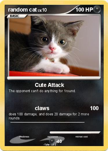 Pokemon random cat