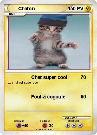 Pokemon Chaton