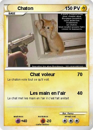 Pokemon Chaton