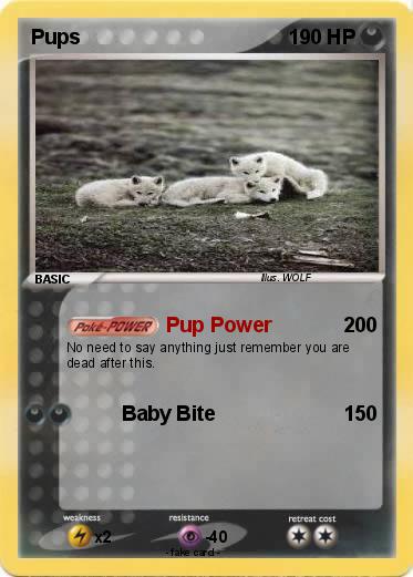 Pokemon Pups