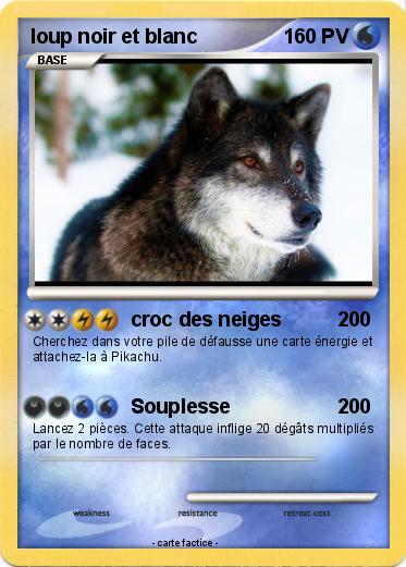 Pokemon loup noir et blanc