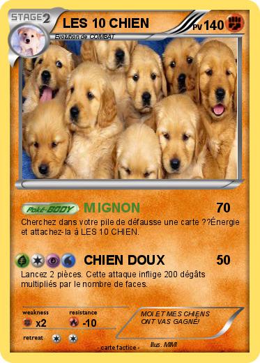 Pokemon LES 10 CHIEN