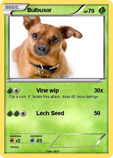 Pokemon Bulbusor