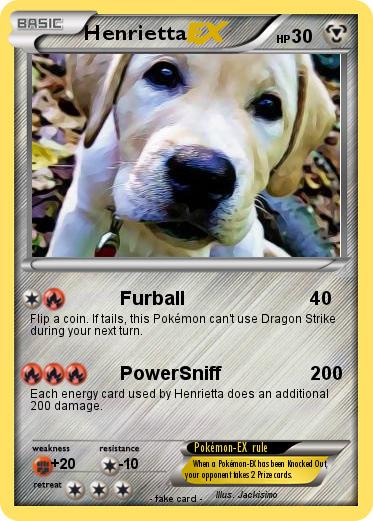Pokemon Henrietta