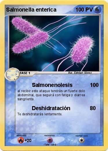 Pokemon Salmonella enterica