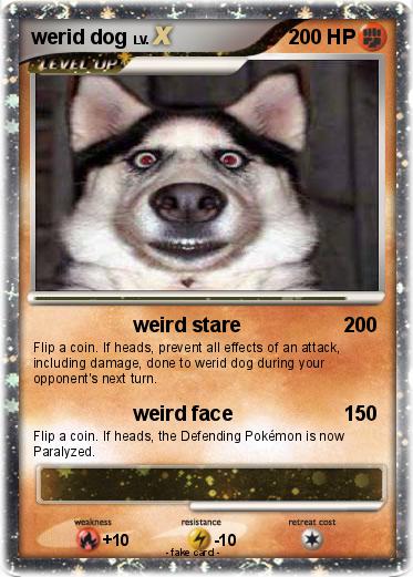Pokemon werid dog