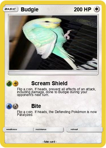 Pokemon Budgie