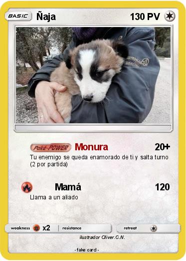 Pokemon Ñaja