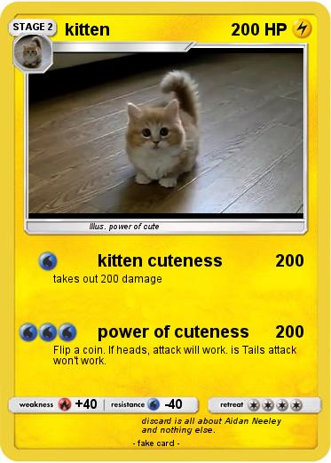 Pokemon kitten