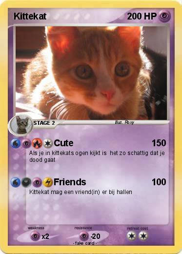 Pokemon Kittekat