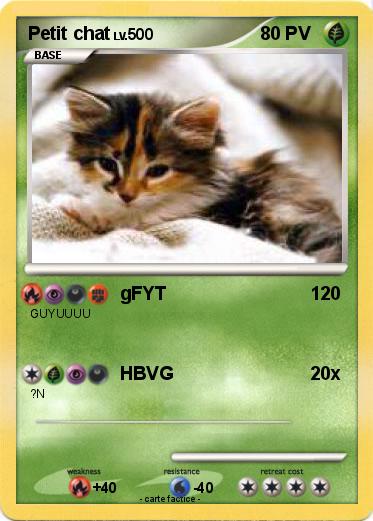 Pokemon Petit chat