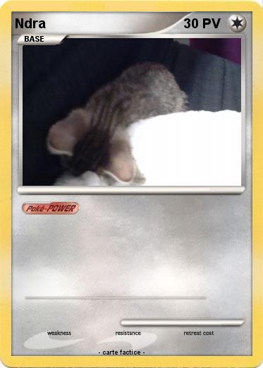 Pokemon Ndra