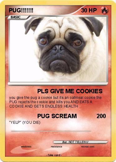 Pokemon PUG!!!!!!!