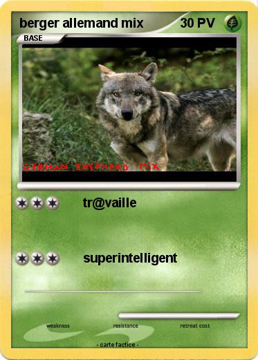 Pokemon berger allemand mix
