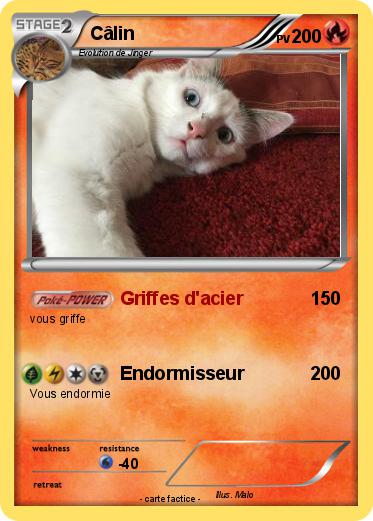 Pokemon Câlin
