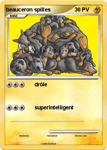 Pokemon beauceron spilles
