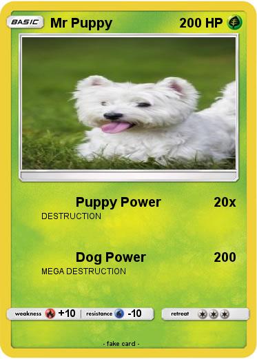 Pokemon Mr Puppy