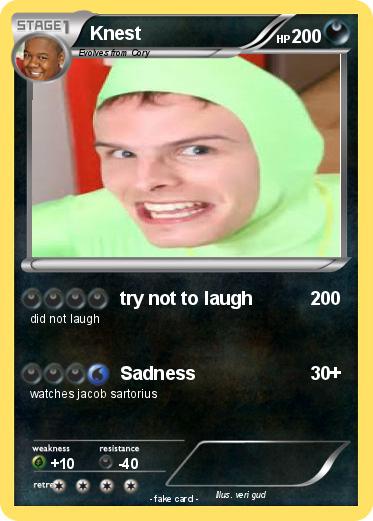 Pokemon Knest