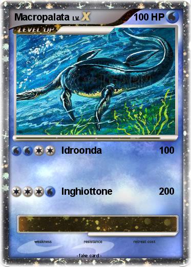 Pokemon Macropalata