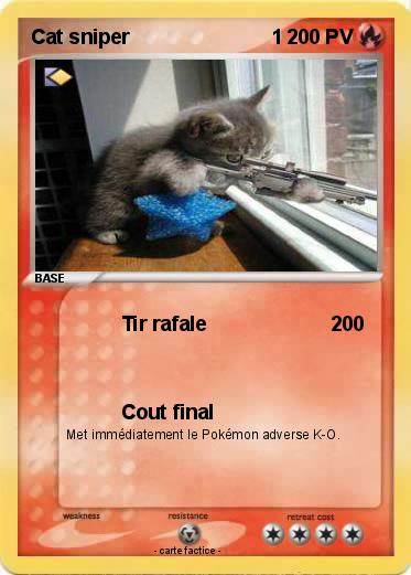 Pokemon Cat sniper                         1