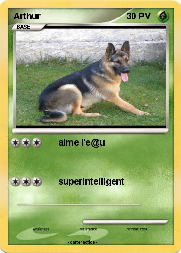 Pokemon Arthur