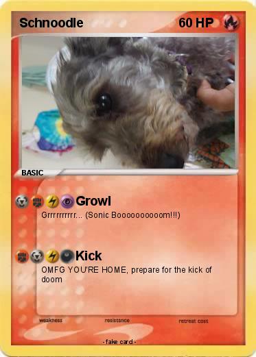 Pokemon Schnoodle