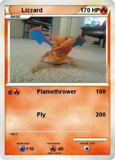 Pokemon Lizzard