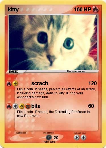 Pokemon kitty