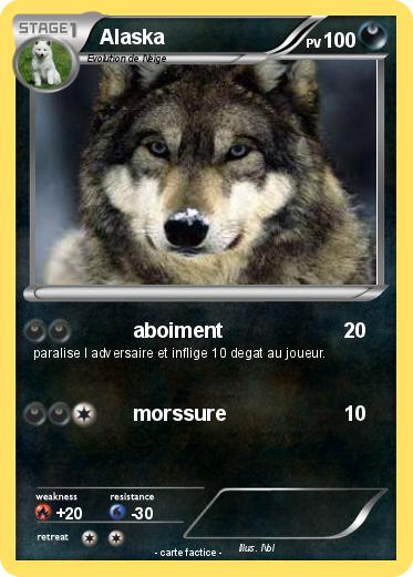 Pokemon Alaska