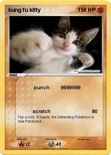 Pokemon kung fu kitty