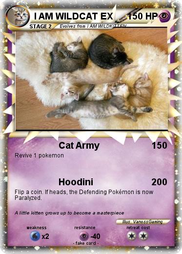 Pokemon I AM WILDCAT EX
