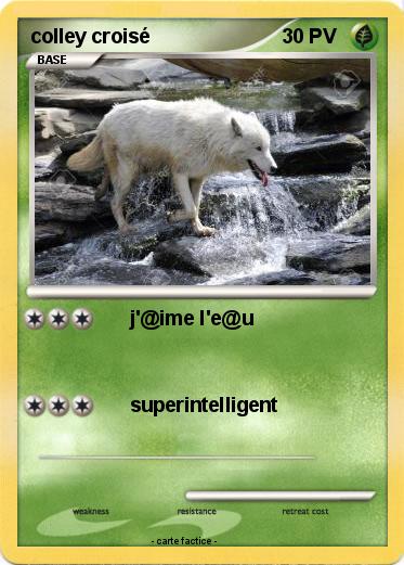 Pokemon colley croisé
